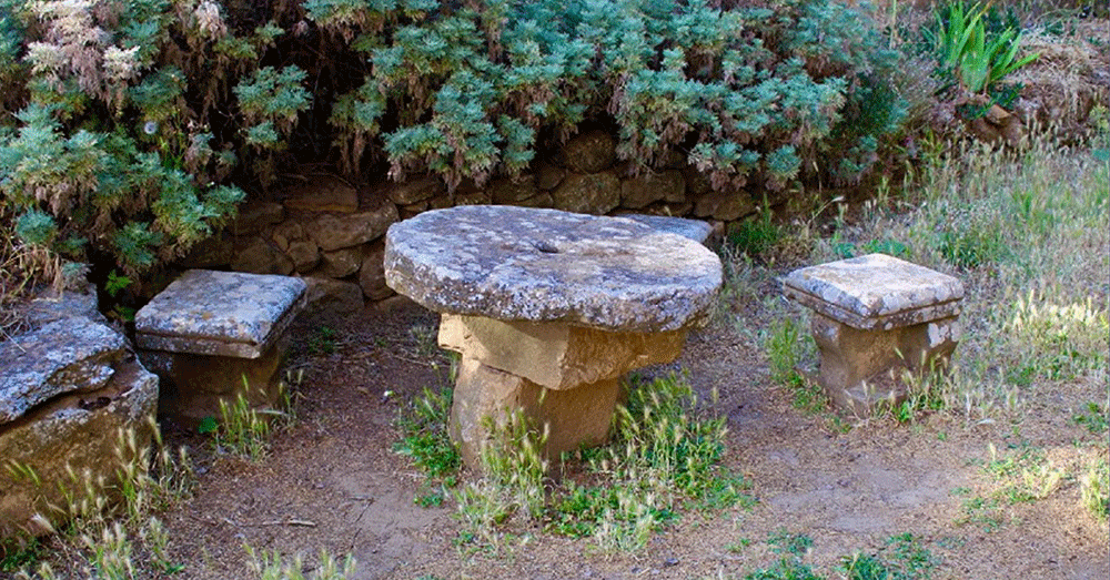 vignette Témoins de l’à-venir