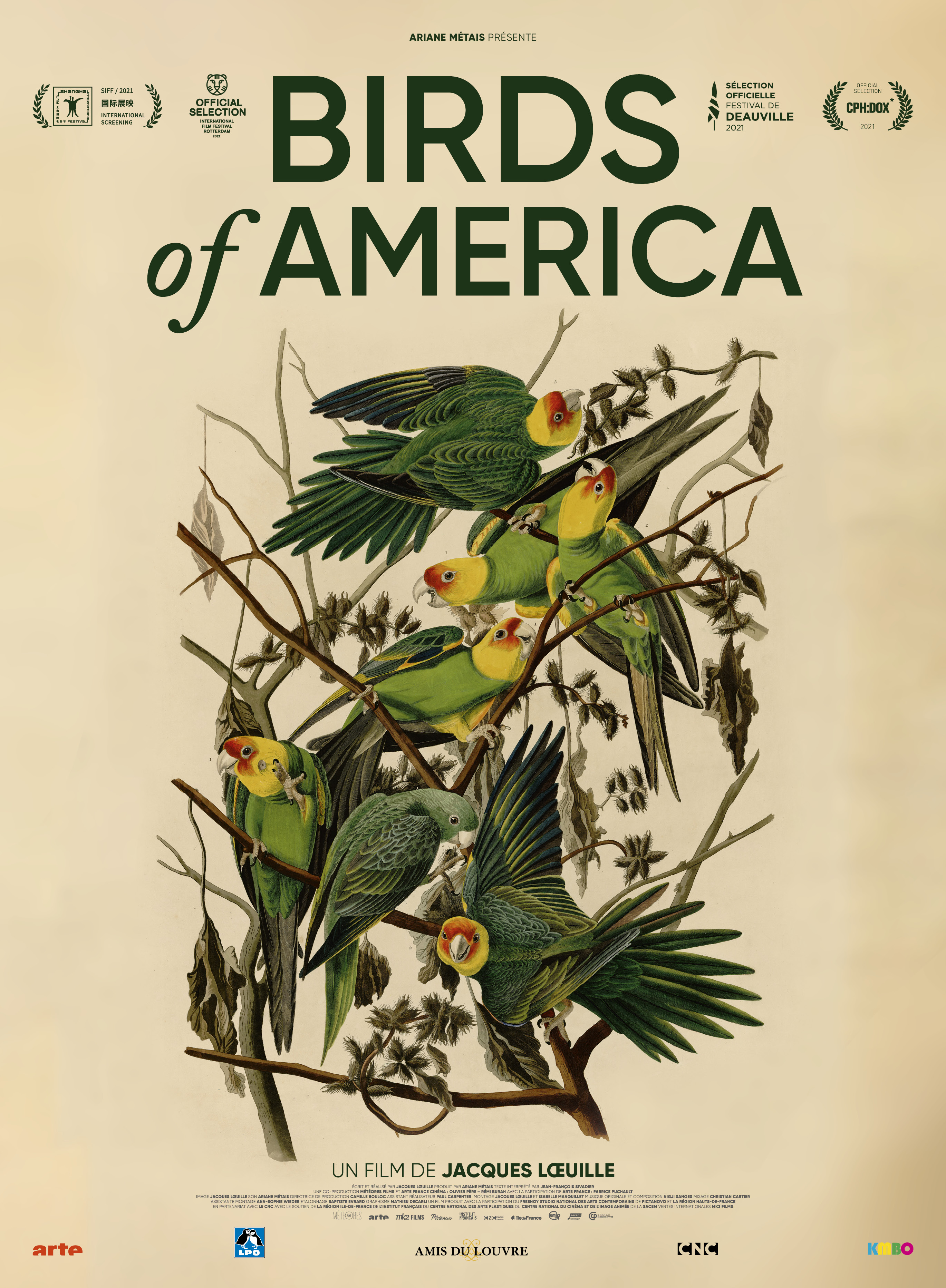 affiche Birds of America